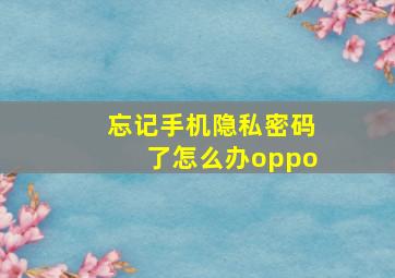 忘记手机隐私密码了怎么办oppo