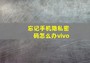 忘记手机隐私密码怎么办vivo