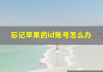 忘记苹果的id账号怎么办