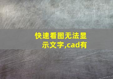 快速看图无法显示文字,cad有