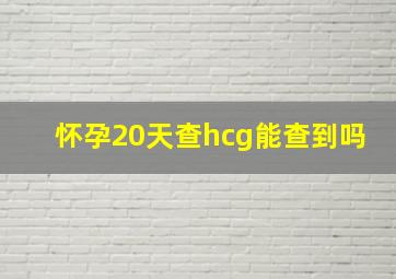 怀孕20天查hcg能查到吗