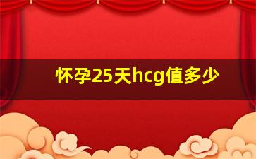 怀孕25天hcg值多少