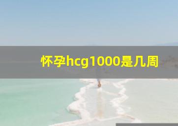 怀孕hcg1000是几周