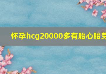 怀孕hcg20000多有胎心胎芽