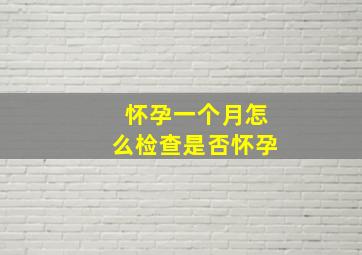 怀孕一个月怎么检查是否怀孕