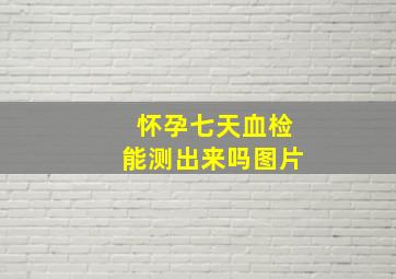 怀孕七天血检能测出来吗图片