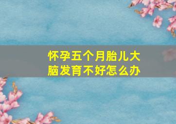 怀孕五个月胎儿大脑发育不好怎么办