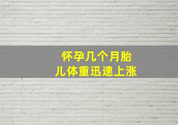 怀孕几个月胎儿体重迅速上涨