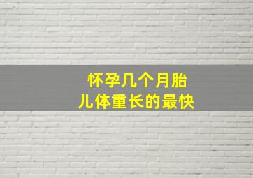 怀孕几个月胎儿体重长的最快