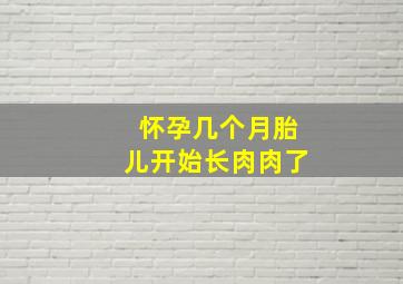 怀孕几个月胎儿开始长肉肉了