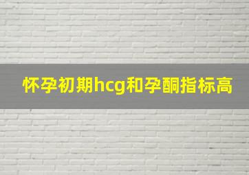 怀孕初期hcg和孕酮指标高