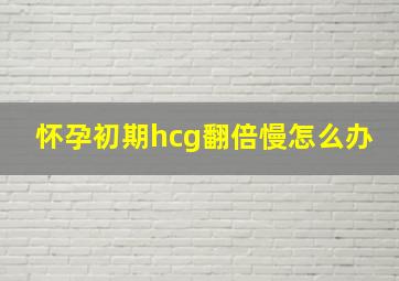 怀孕初期hcg翻倍慢怎么办