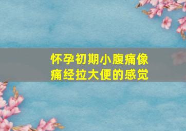 怀孕初期小腹痛像痛经拉大便的感觉