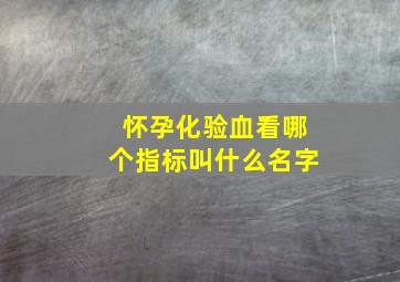 怀孕化验血看哪个指标叫什么名字