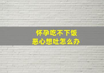 怀孕吃不下饭恶心想吐怎么办