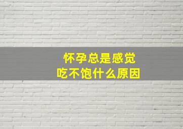 怀孕总是感觉吃不饱什么原因