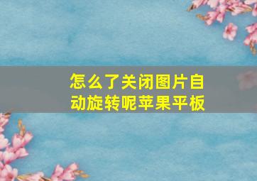 怎么了关闭图片自动旋转呢苹果平板