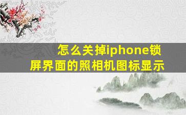 怎么关掉iphone锁屏界面的照相机图标显示