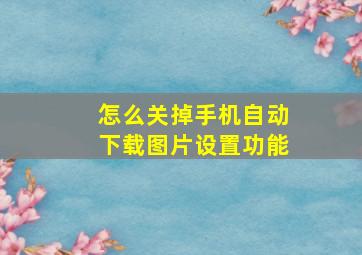 怎么关掉手机自动下载图片设置功能