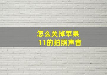 怎么关掉苹果11的拍照声音