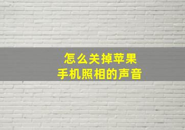 怎么关掉苹果手机照相的声音