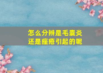 怎么分辨是毛囊炎还是痤疮引起的呢