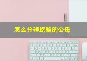 怎么分辨螃蟹的公母