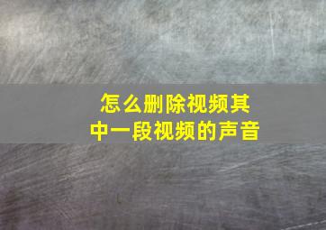 怎么删除视频其中一段视频的声音