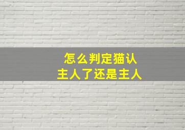 怎么判定猫认主人了还是主人