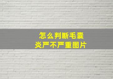 怎么判断毛囊炎严不严重图片