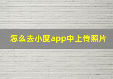 怎么去小度app中上传照片