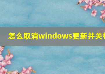 怎么取消windows更新并关机