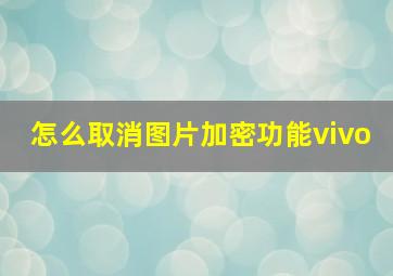 怎么取消图片加密功能vivo