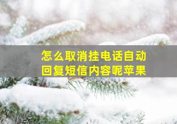 怎么取消挂电话自动回复短信内容呢苹果