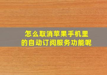 怎么取消苹果手机里的自动订阅服务功能呢