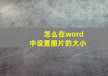 怎么在word中设置图片的大小