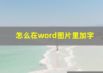 怎么在word图片里加字