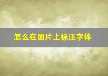 怎么在图片上标注字体