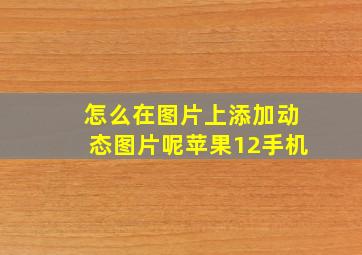 怎么在图片上添加动态图片呢苹果12手机