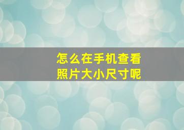 怎么在手机查看照片大小尺寸呢