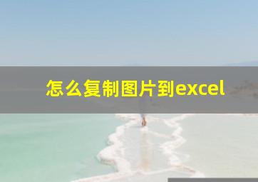 怎么复制图片到excel