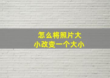 怎么将照片大小改变一个大小