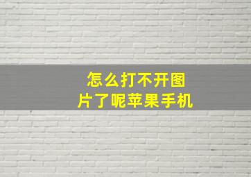 怎么打不开图片了呢苹果手机