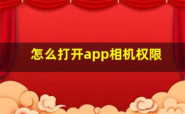 怎么打开app相机权限