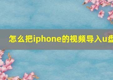 怎么把iphone的视频导入u盘