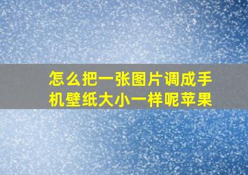 怎么把一张图片调成手机壁纸大小一样呢苹果