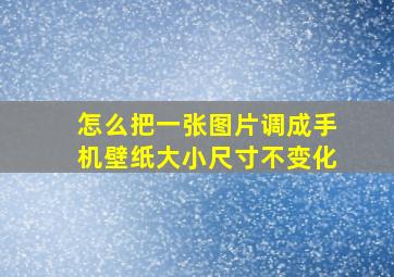 怎么把一张图片调成手机壁纸大小尺寸不变化