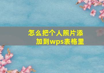 怎么把个人照片添加到wps表格里