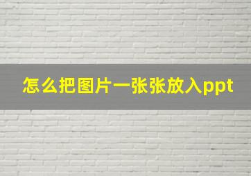 怎么把图片一张张放入ppt