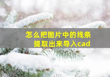 怎么把图片中的线条提取出来导入cad